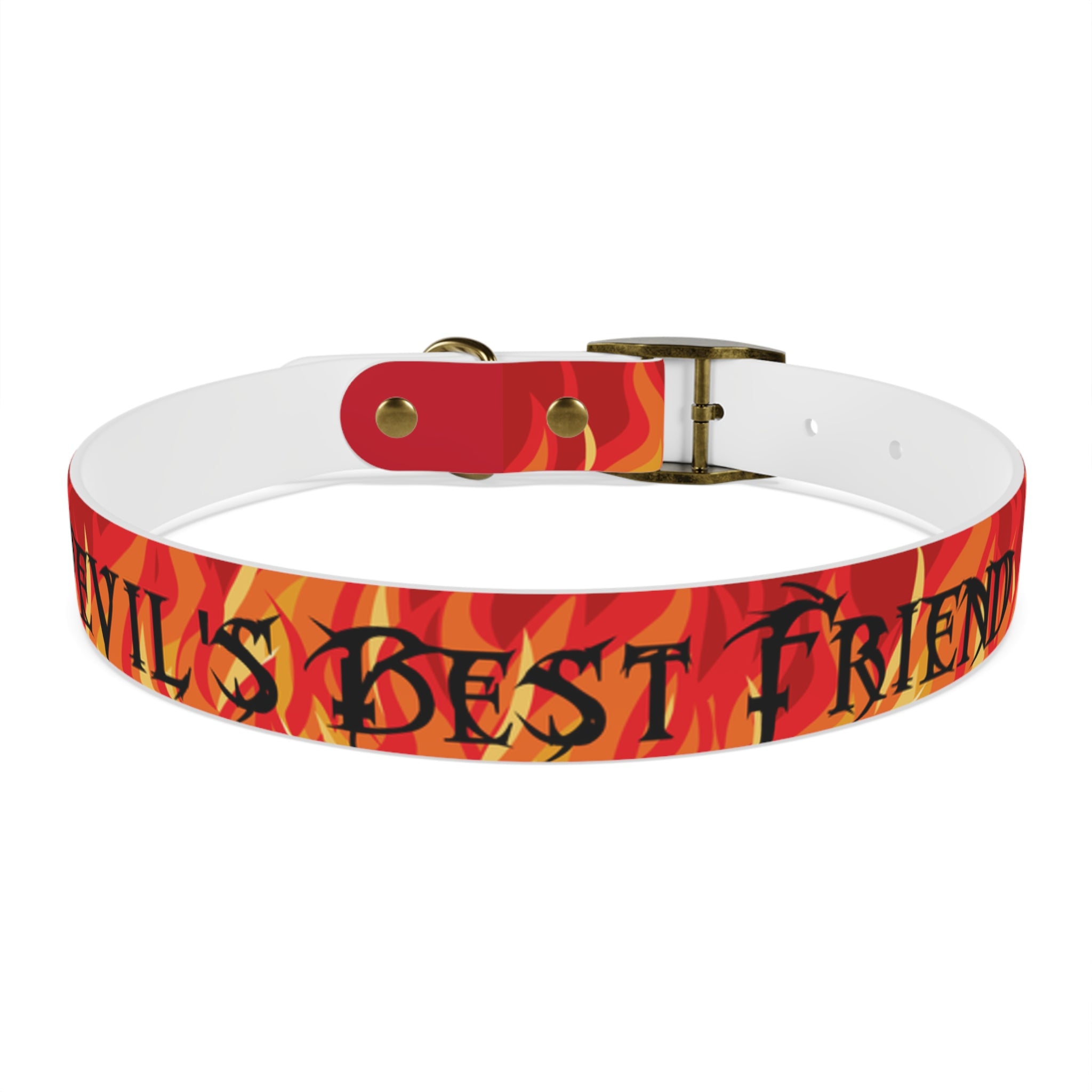 Best friend dog 2024 collar and bracelet